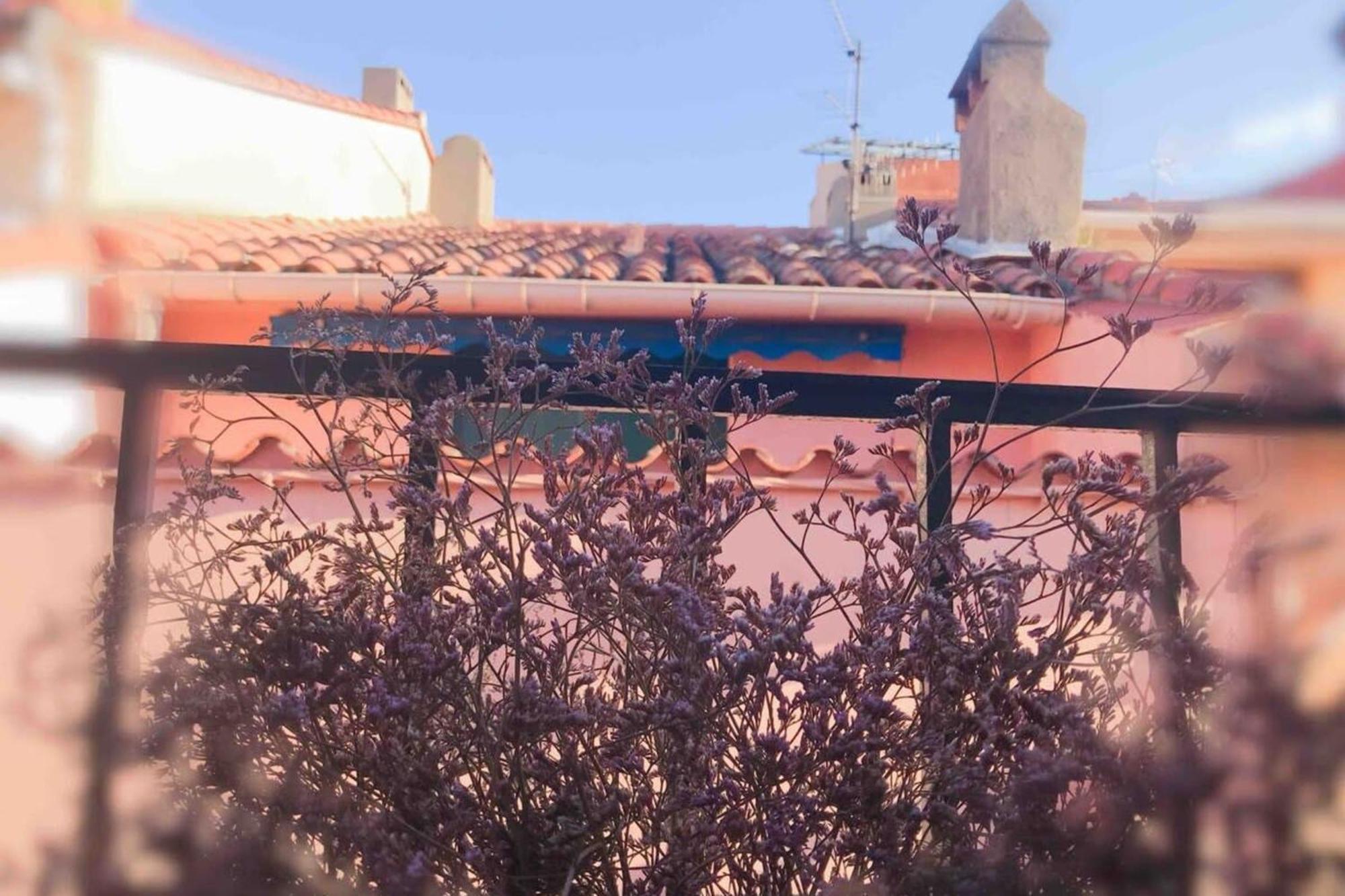 Residence St Vincent Collioure Ngoại thất bức ảnh